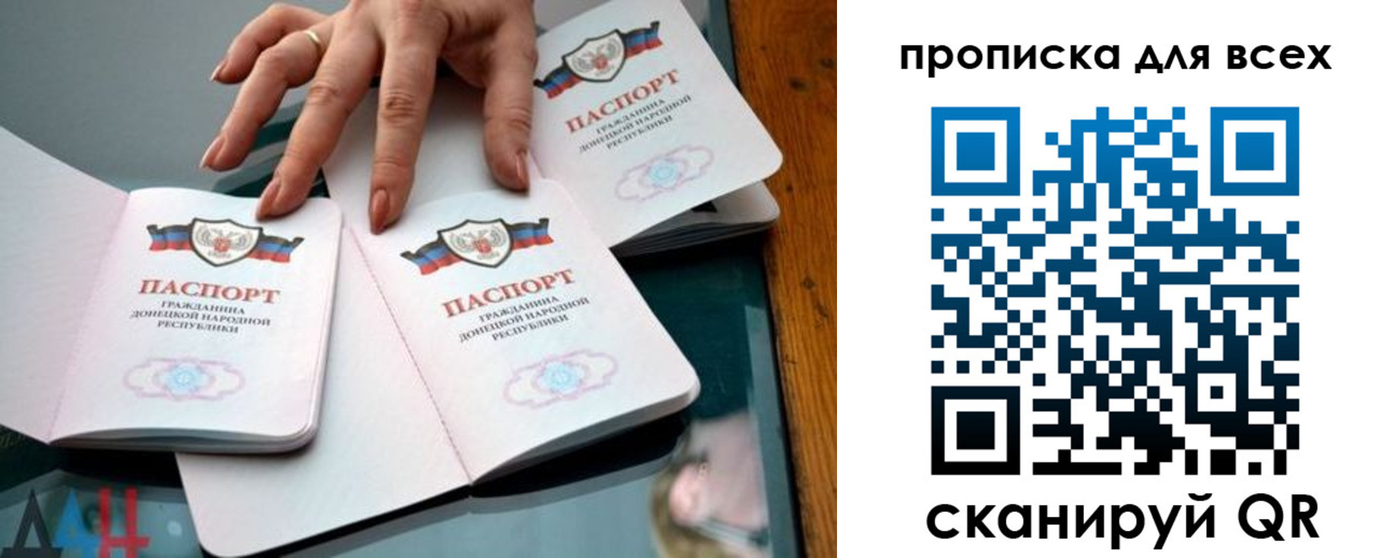 прописка гарантия в Электрогорске